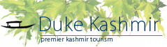Duke Kashmir Travels