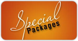 Kashmir Special offer