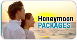 Kashmir Honeymoon Special