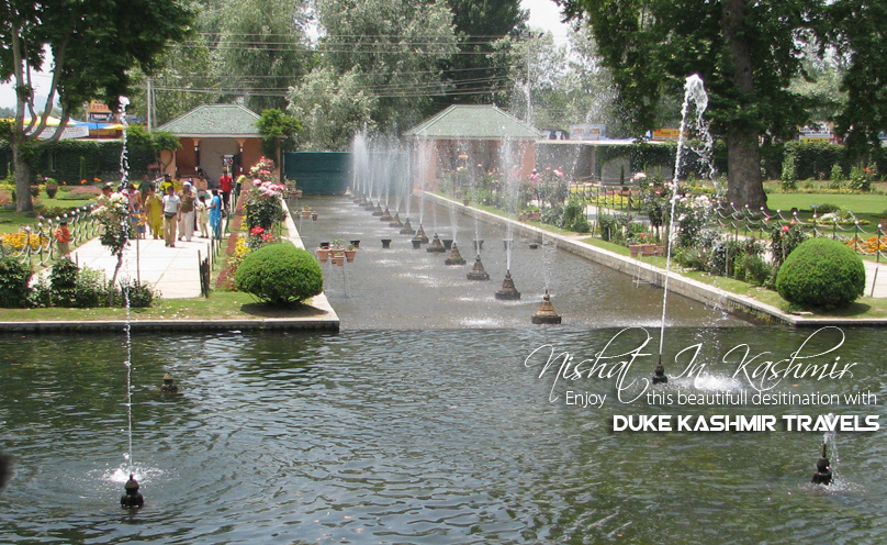 Kashmir Tour Packages