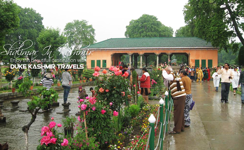 Kashmir Tour Packages