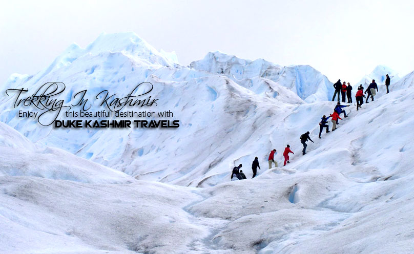 Kashmir Tour Packages
